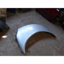 Capot de RENAULT Scénic +