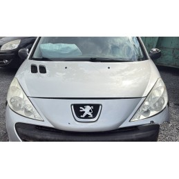 Capot PEUGEOT 206 + (T3E) -...