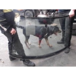 Pare brise de VOLKSWAGEN...