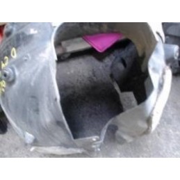 joue d'aile droit  de...