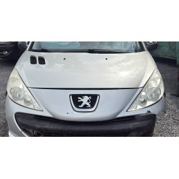 Capot PEUGEOT 206 + (T3E) -...