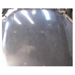 Capots de BMW SERIE 5 E61...